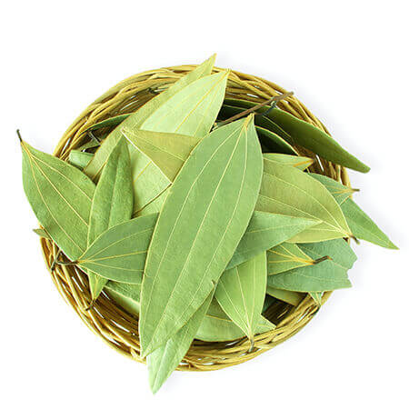 Tamalpatra