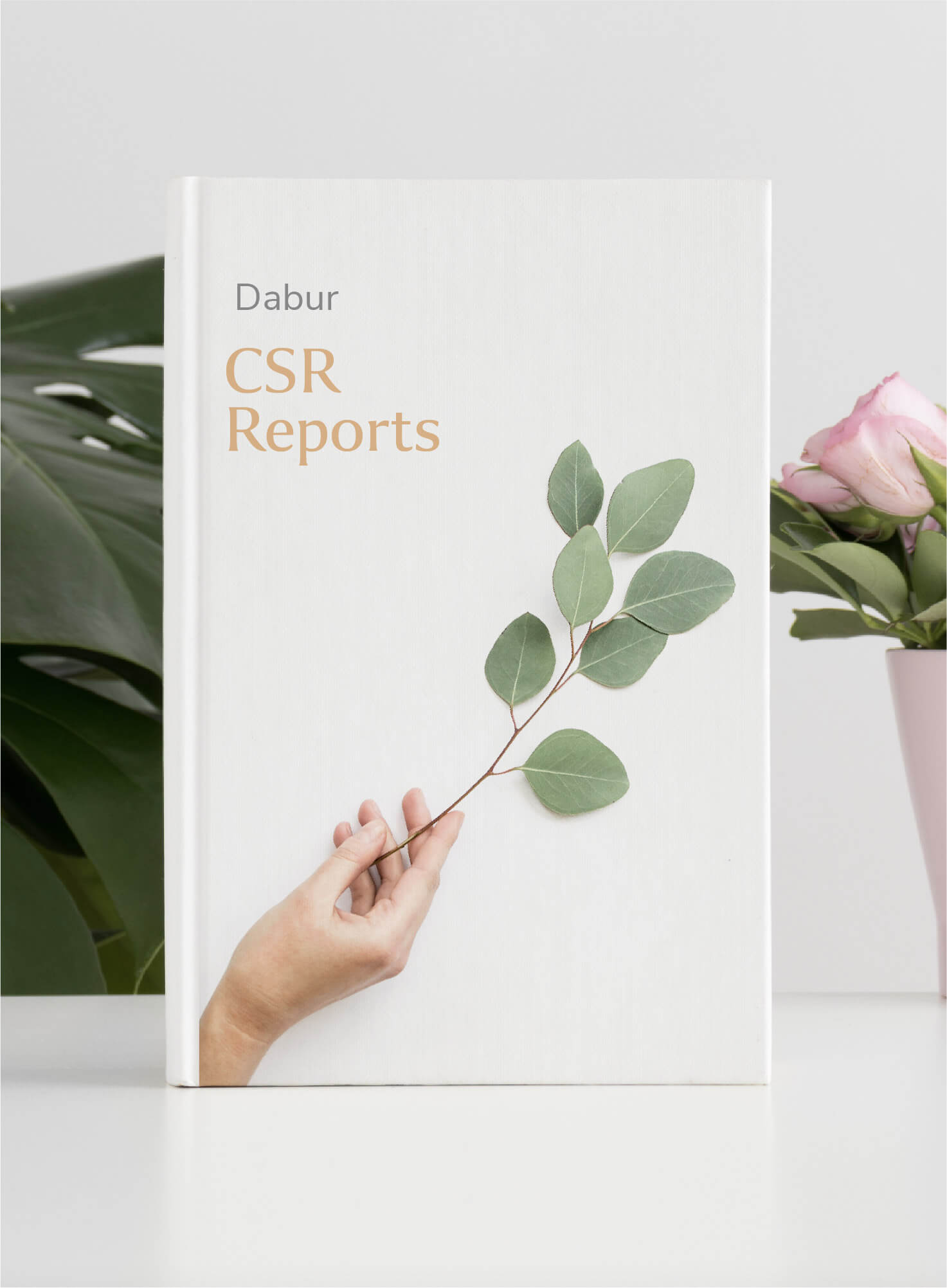 CSR Reports