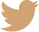 logo-twitter-big