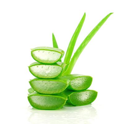 Ghritkumari Plant: Aloe Vera Uses & Benefits | Dabur | Dabur